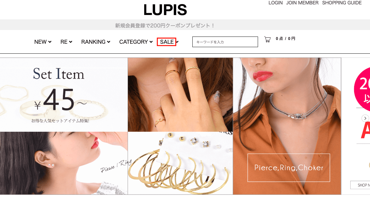 LUPISのホームページ
