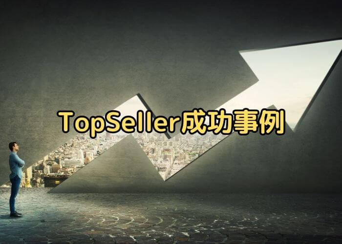 TopSeller（トップセラー）成功事例